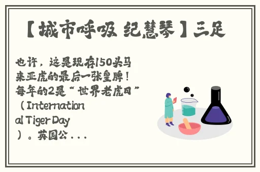 晚上坐大巴车和陌生人坐一块